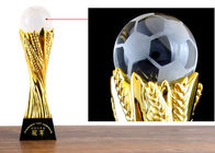 ถ้วยรางวัลเรซินแบบกำหนดเองพร้อมลูกบอลคริสตัลสำหรับรางวัลฟุตบอลสิ้นปี